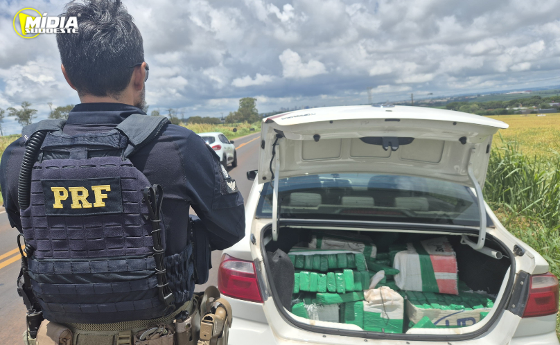 PRF apreende mais de 184 kg de maconha