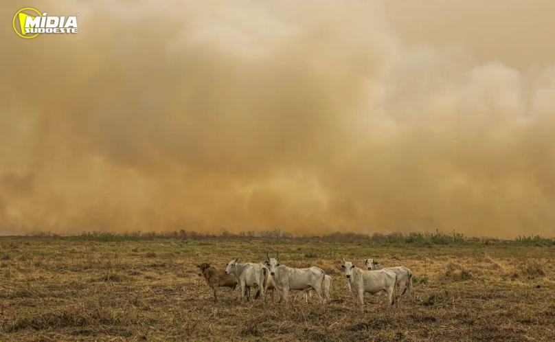 Janeiro tem número de focos de calor duas vezes maior que a média
