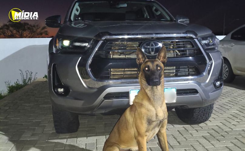 SAS: BPFRON recupera Hilux