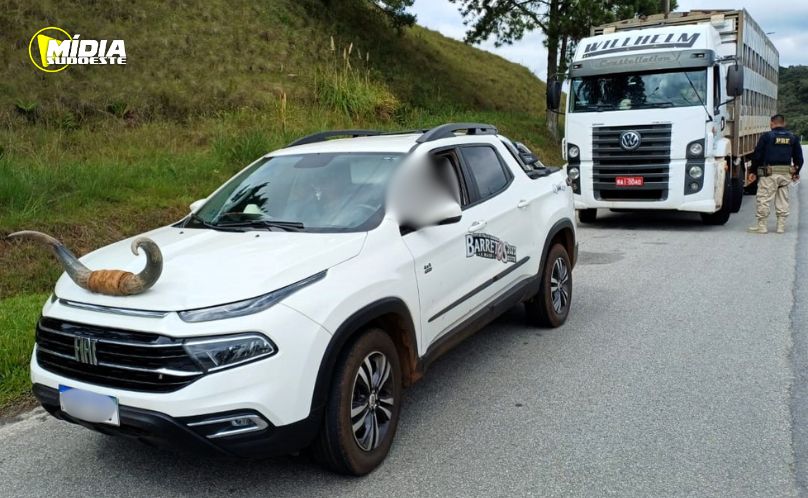 Picape com “chifre de boi” no capô é flagrada na BR-282