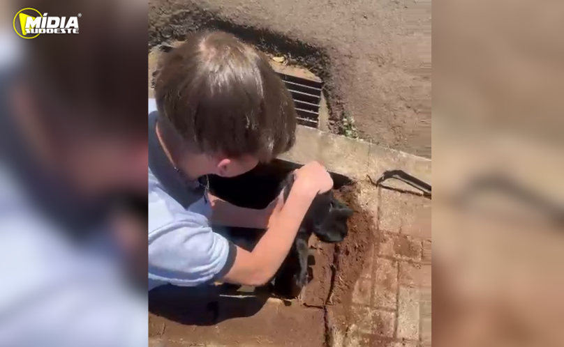 Gesto simples garante resgate de gatinho