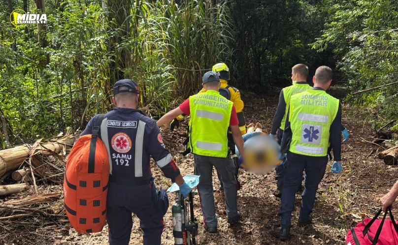 PRF apreende medicamentos