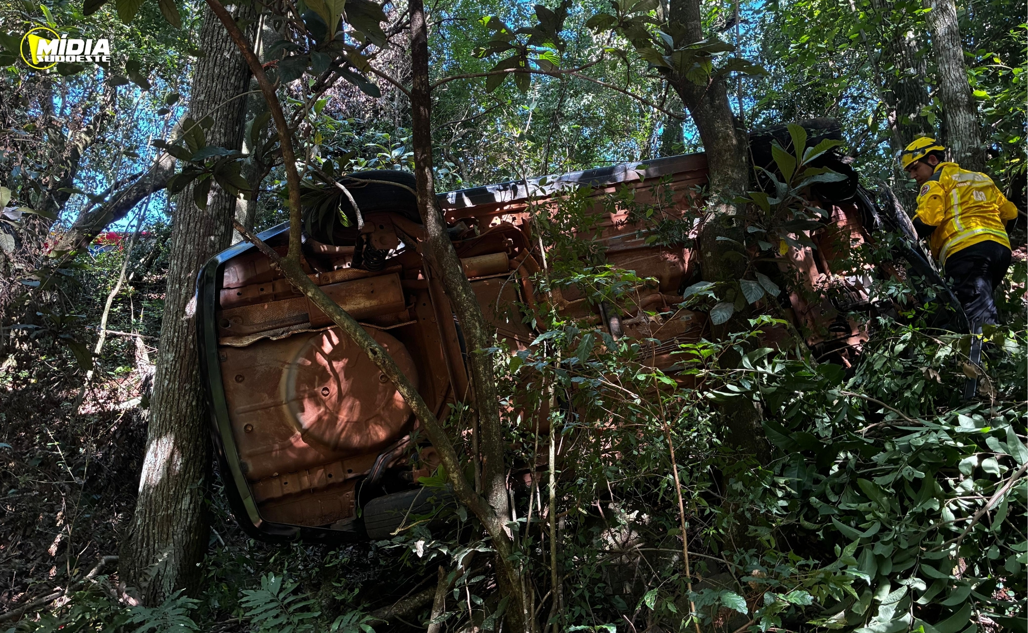 PRF apreende medicamentos