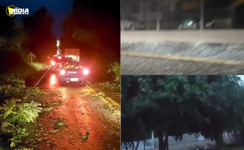 Temporal causa danos e falta de energia em cidades do Sudoeste do Paraná