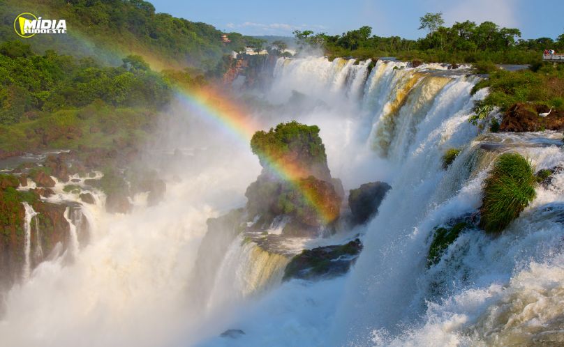 PRF apreende medicamentos
