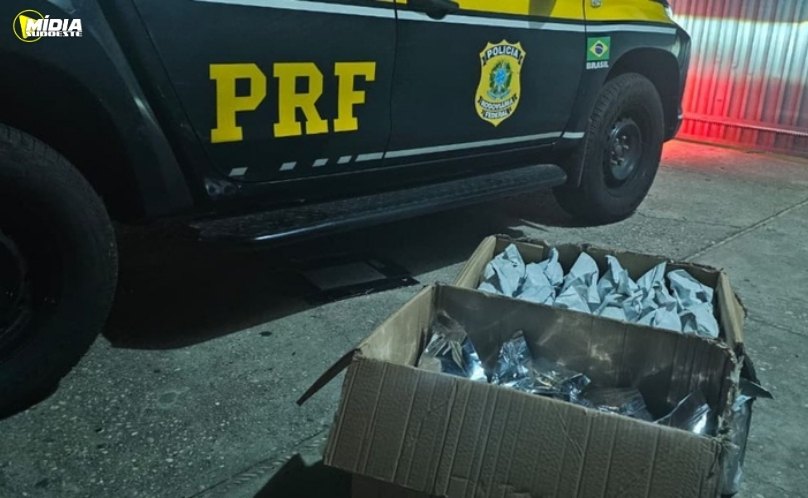 PRF apreende 21,5 kg de maconha durante fiscalização
