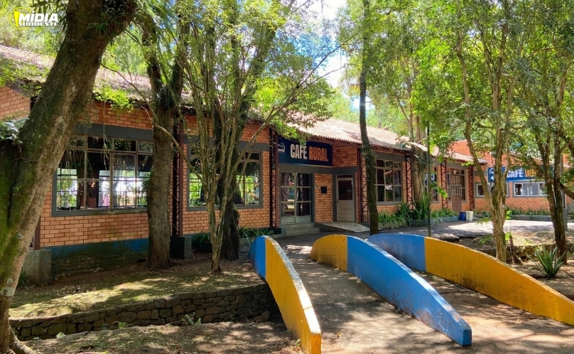 PRF apreende medicamentos