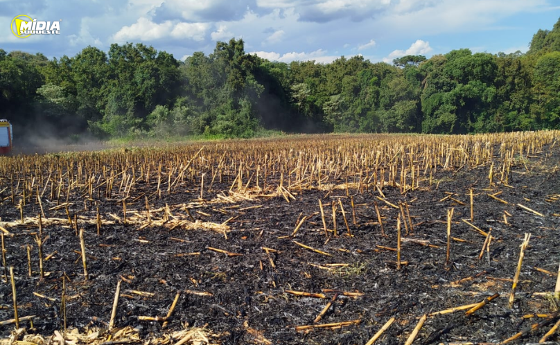 Fogo em área rural atinge 10 mil metros quadrados