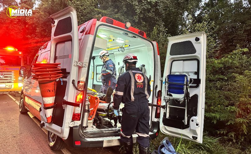 SAS: árvore caída provoca dois acidentes simultâneos na PR-481