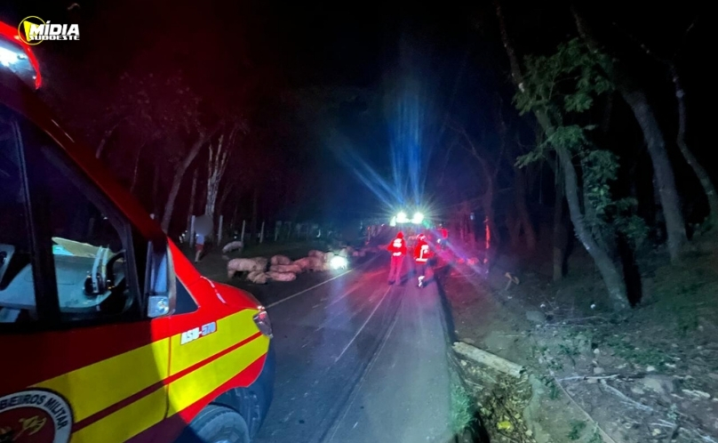 Caminhão tomba em Caibí durante a madrugada