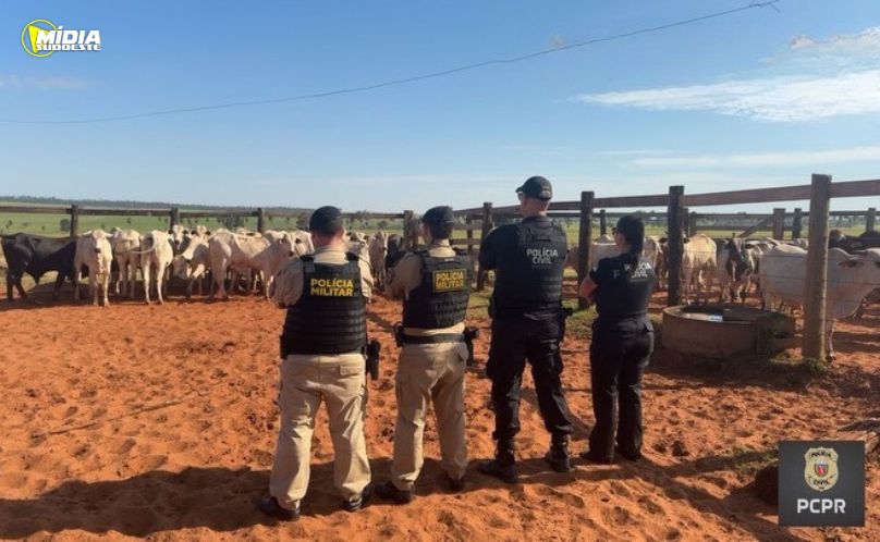 Polícia Civil recupera parte de gado furtado em Icaraíma