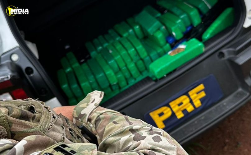 PRF apreende 123,7 kg de maconha após acompanhamento tático