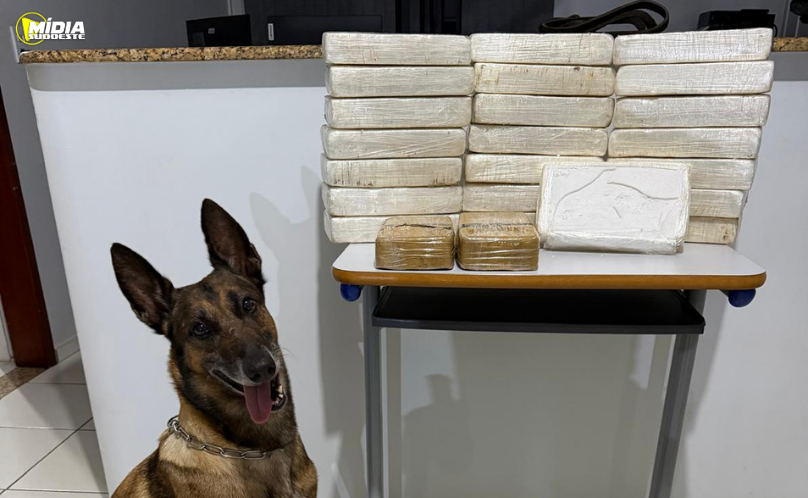 BPRv apreende 24 quilos de drogas em BMW na PRC-280