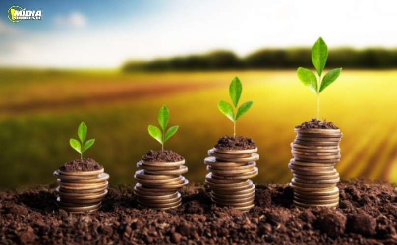 Crédito rural empresarial cresce 7% e totaliza R$ 354,4 bilhões no Plano Safra