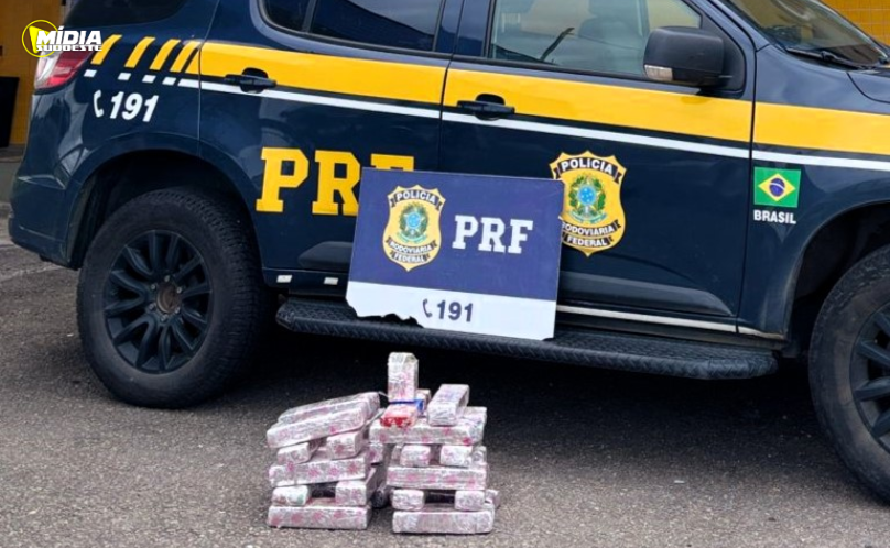 PRF intercepta 20 quilos de maconha na BR-101