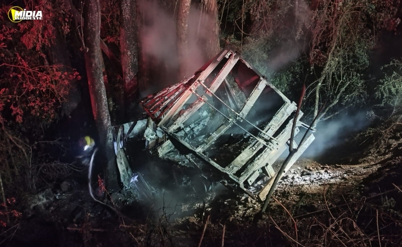 Caminhonete sai da pista e pega fogo