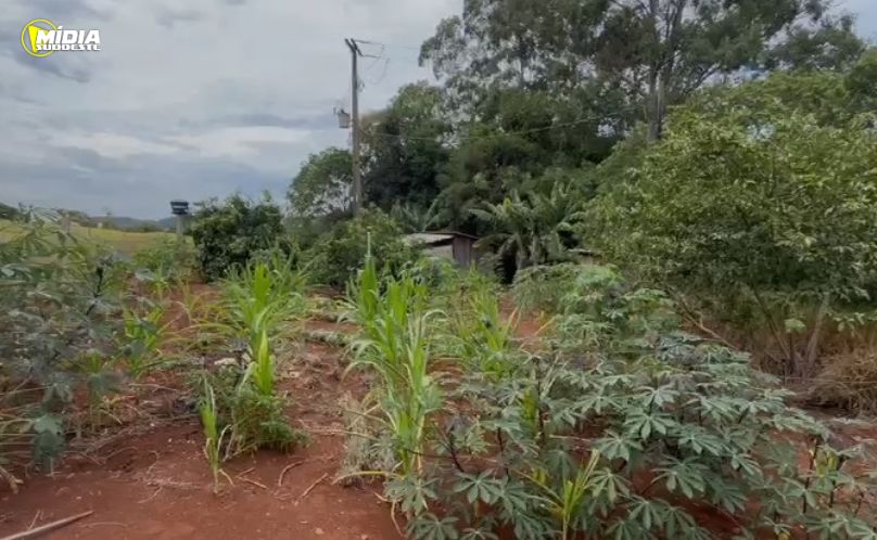 Homem é encontrado decapitado no interior de Realeza