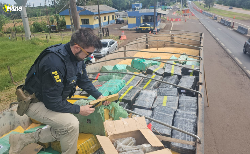 PRF apreende cerca de 4 toneladas de maconha em caminhão na BR-163