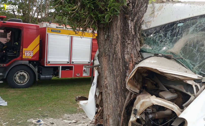 Caminhão bate contra árvore e deixa dois feridos