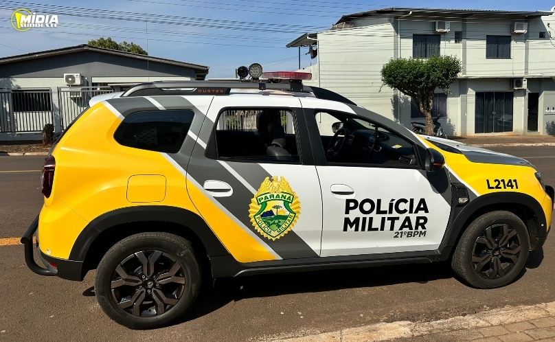 Suspeito com histórico criminal é preso por furto e dano ao patrimônio público