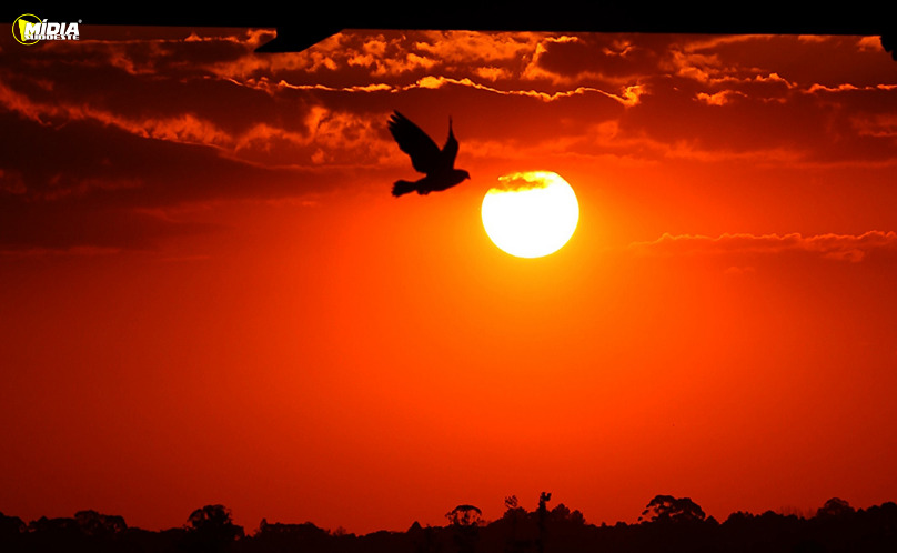 Com La Niña, verão 2025/2026 foi marcado por chuvas irregulares e temperatura de 39,7°C