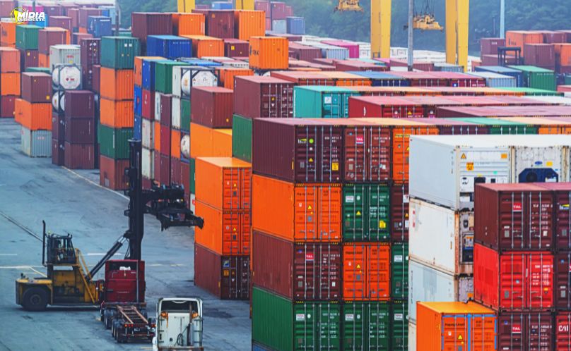 Soja e carnes lideram exportações pelos portos paranaenses