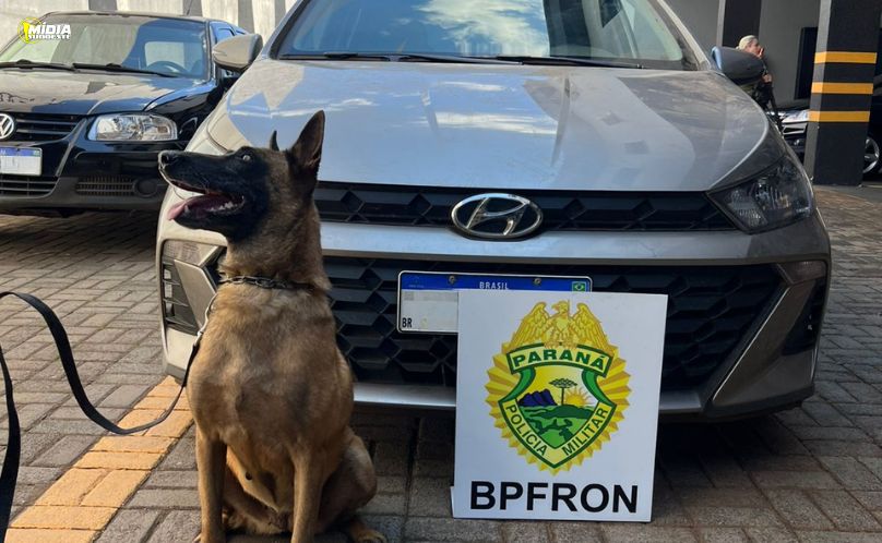 Operação do BPFRON resulta em veículo recuperado e homem preso