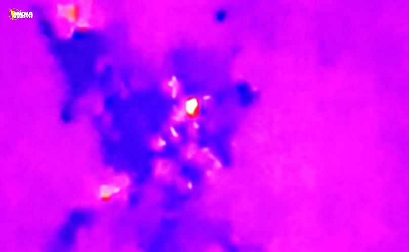 Resgate na mata: homem é encontrado após dois dias desaparecido