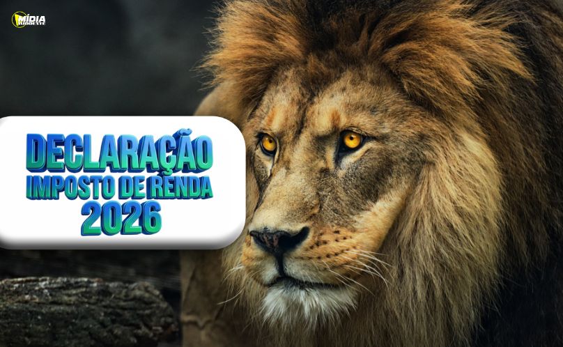 Prazo para declarar o Imposto de Renda 2026 começa hoje