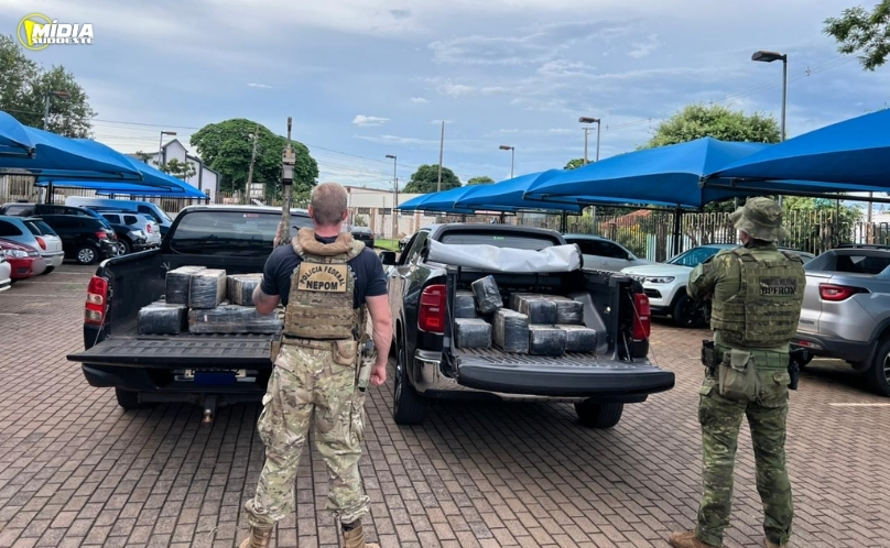 PMPR e PF apreendem 535 quilos de maconha em Mercedes