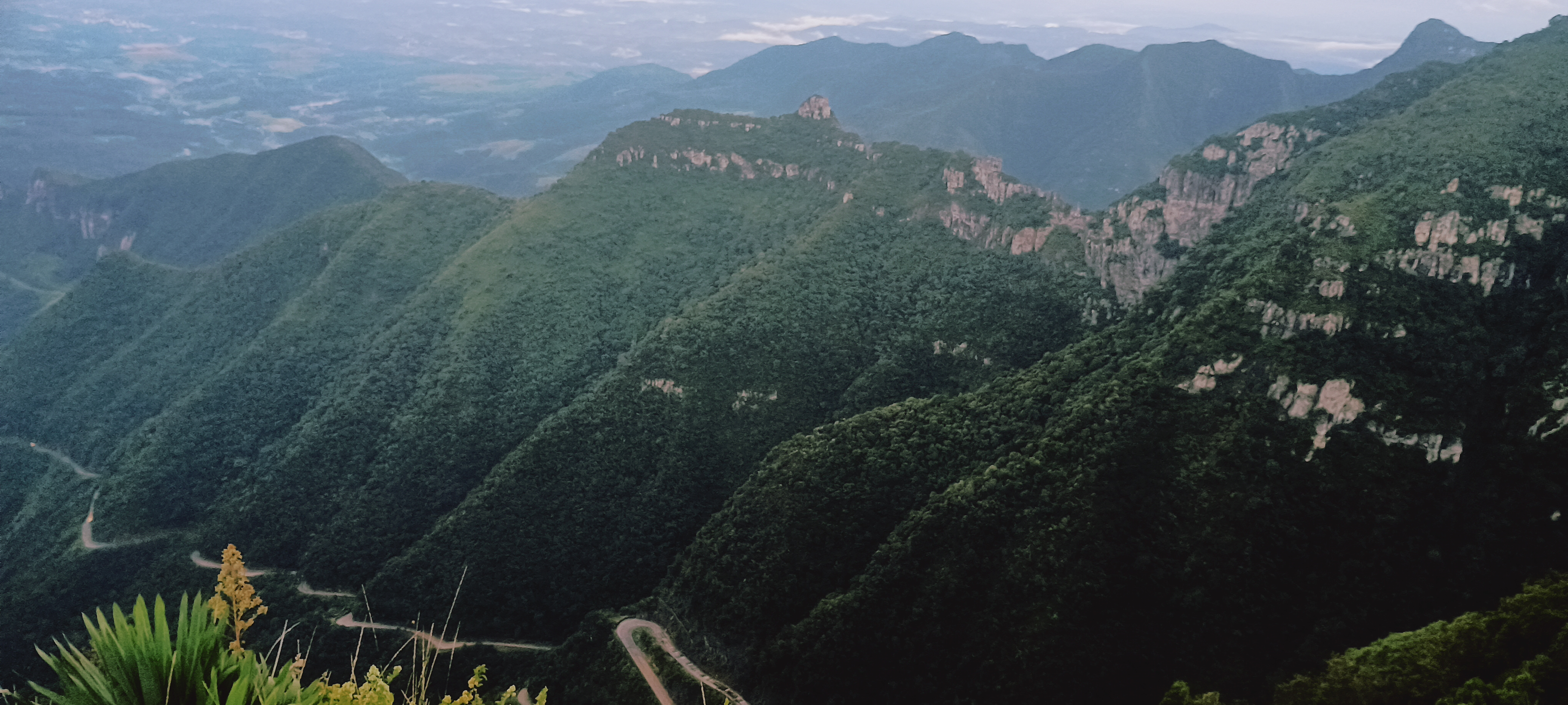 O sul é o seu país 