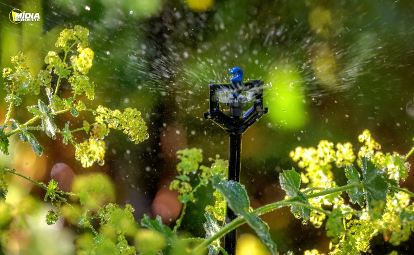 A irrigação que está mudando o futuro do pequeno produtor