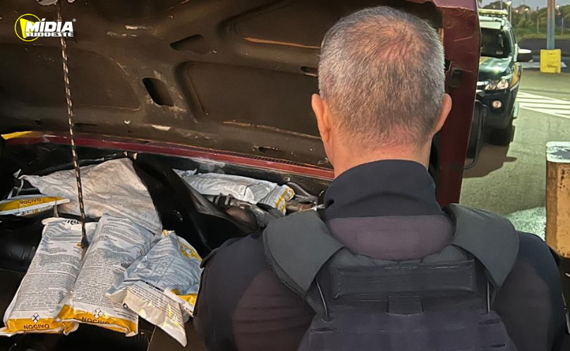 Carga ilegal de agrotóxicos é encontrada no compartimento do motor