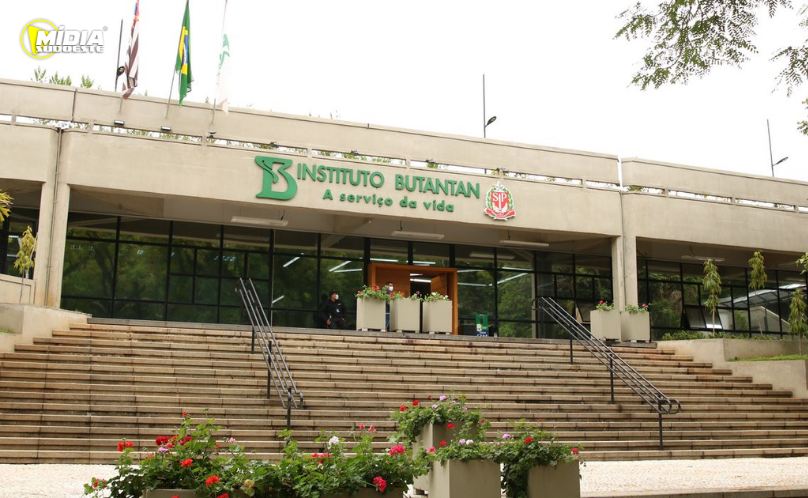 Butantan produzirá remédio contra câncer para o SUS