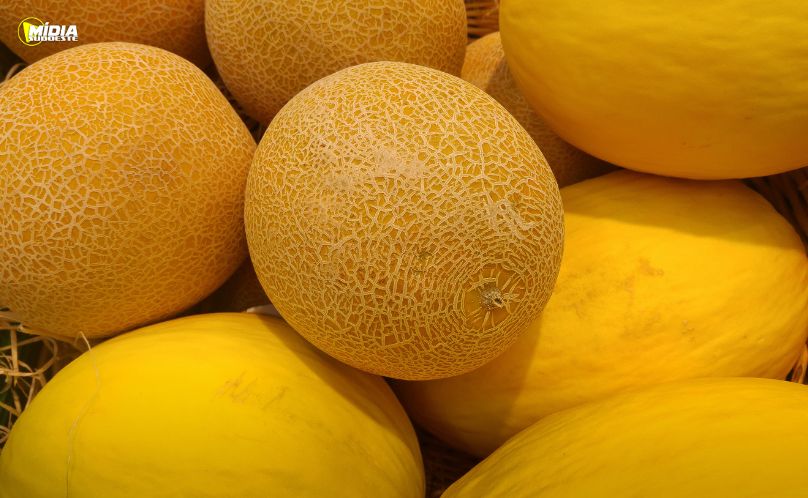 Adenosina no melão chama atenção da ciência