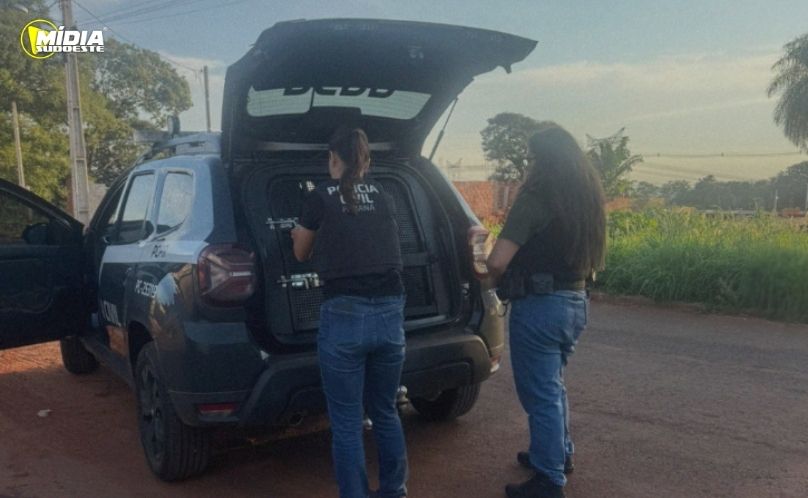 PCPR prende investigado por abusos sexuais contra filhas e familiares