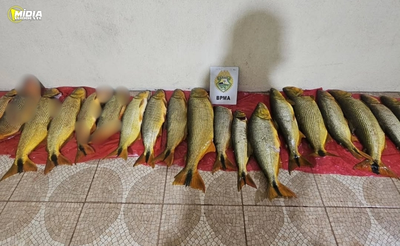 PMPR prende seis pessoas por pesca ilegal