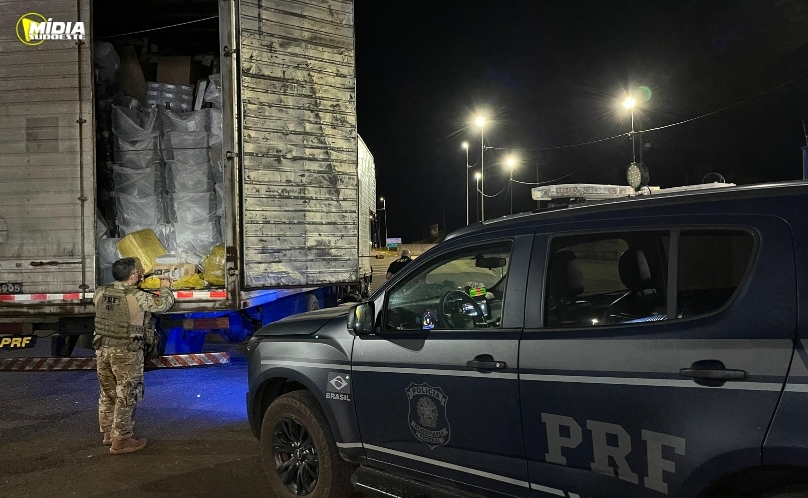 PRF apreende 87 kg de drogas com ajuda de cães