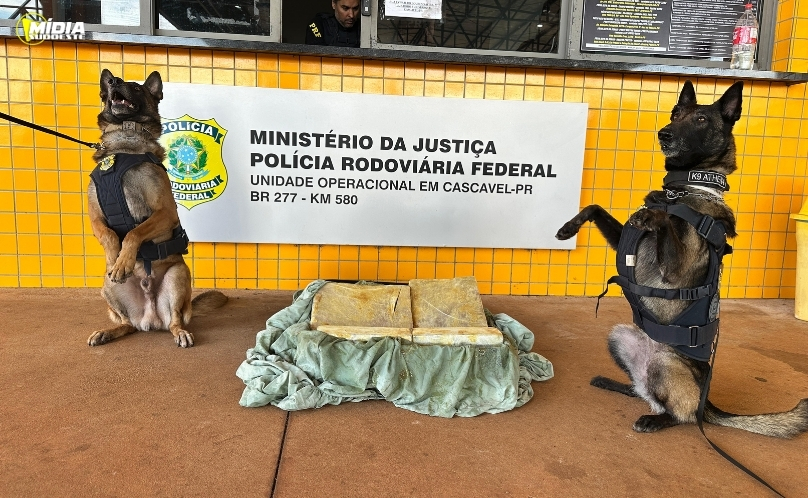 PRF apreende 27 kg de maconha em ônibus na BR-277