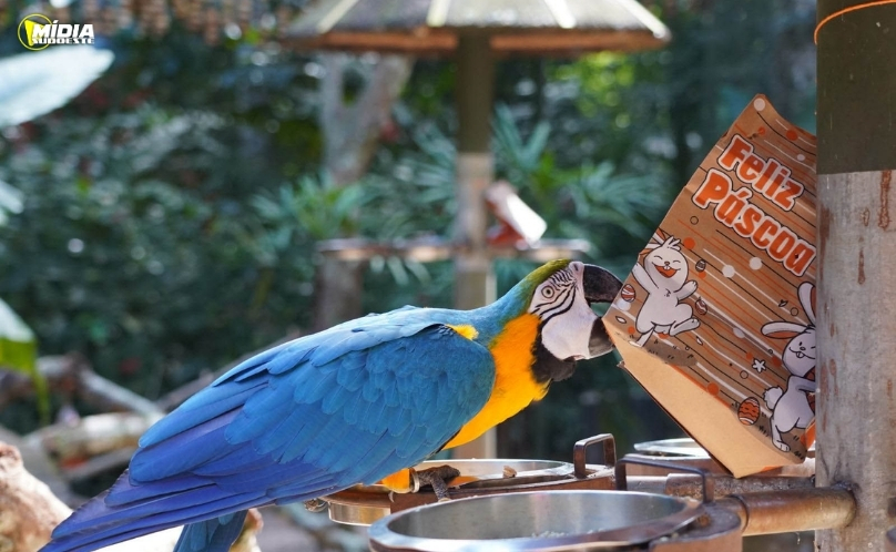 Páscoa impulsiona turismo no Paraná com opções para todos os públicos