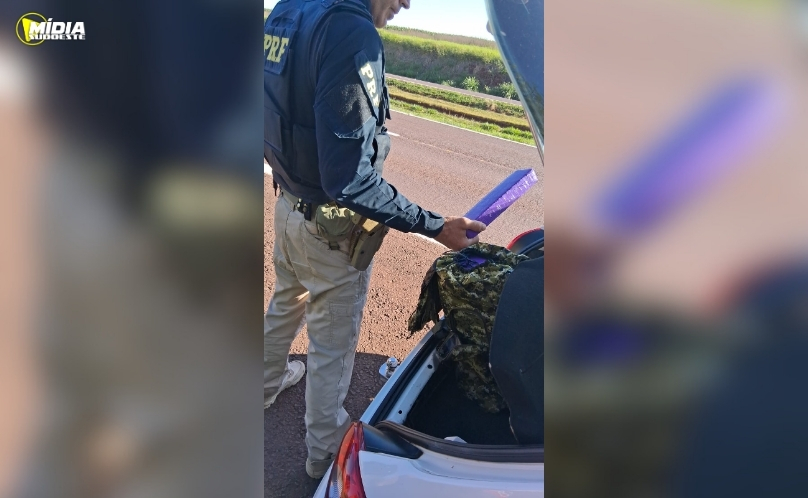 Criança de 1 ano e 11 meses é encontrada em veículo com droga na BR-163