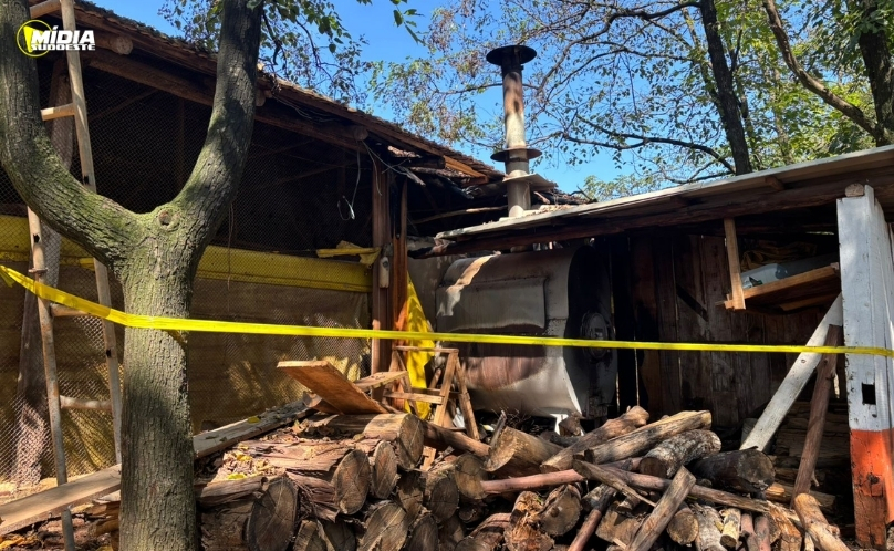 Incêndio atinge aviário no interior