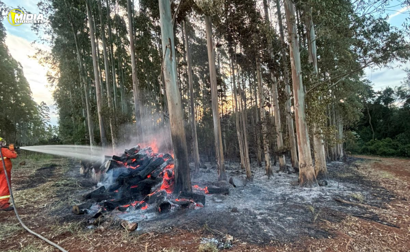 Incêndio atinge lavouras e consome parte da produção no interior