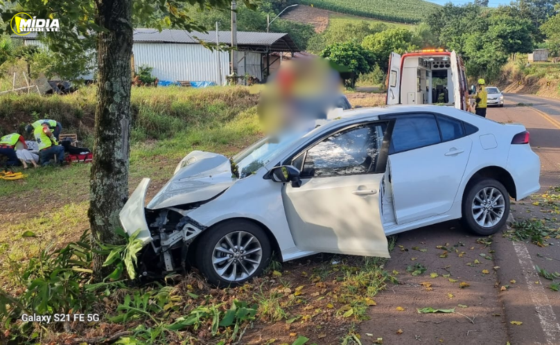 Carro sai da pista e colide contra árvore na SC-386