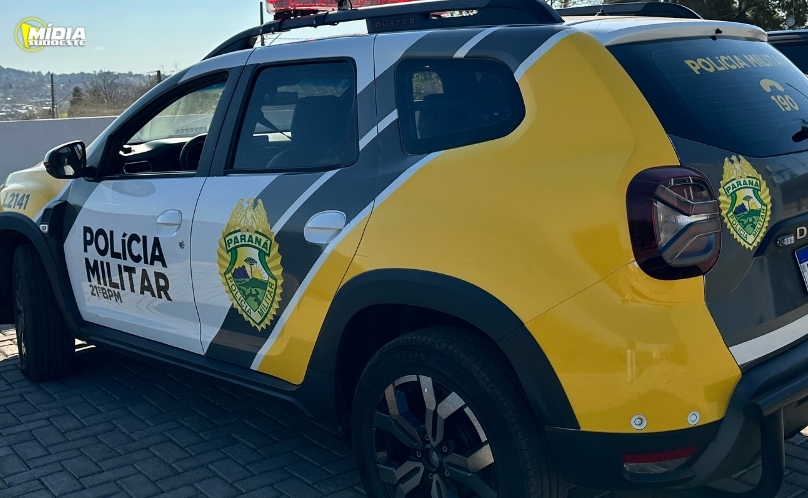 Polícia apreende carga ilegal avaliada em R$ 65 mil em Dois Vizinhos