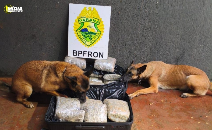 BPFRON apreende mais de 17 kg de maconha em ônibus