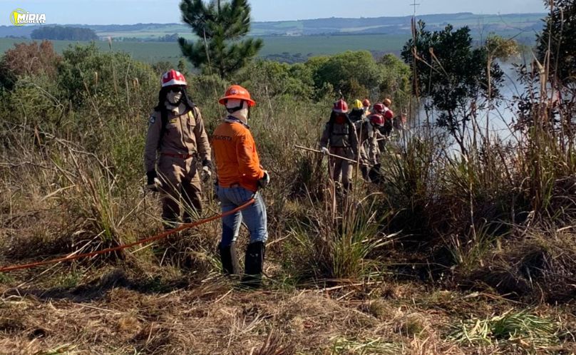 PRF apreende medicamentos