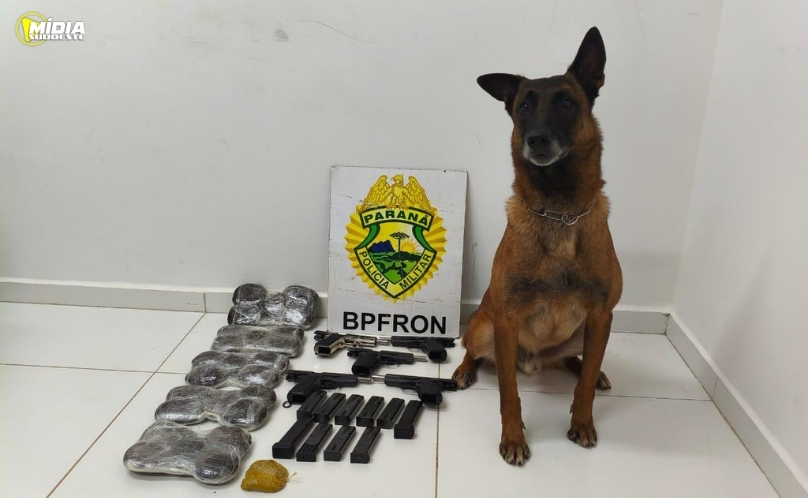 PRF apreende medicamentos