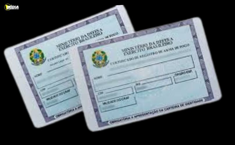 Renovação de registros de armas passa a seguir novo calendário