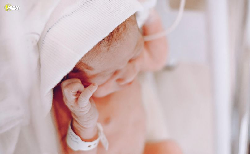 Paraná amplia vacinação da BCG em maternidades